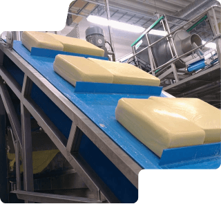 Dairy-Cheese-.png