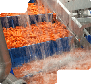 Fruits-Vegetables.png
